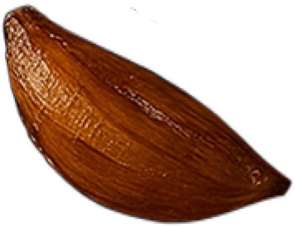 Almond slices cultivated in Newturn highlands, roasted with heat to caramel color #1